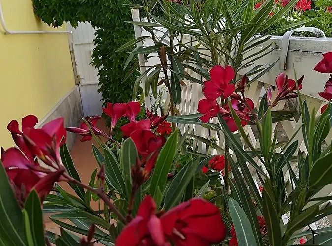 Apartament Castello Vendeg Es Apartmanhaz
