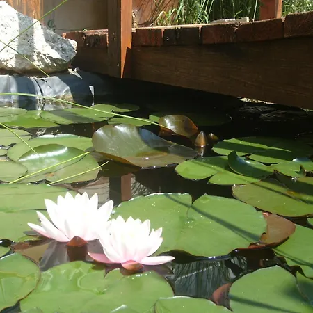 Διαμέρισμα Castello Vendeg Es Apartmanhaz *