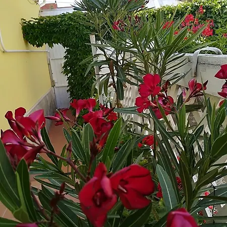 Διαμέρισμα Castello Vendeg Es Apartmanhaz